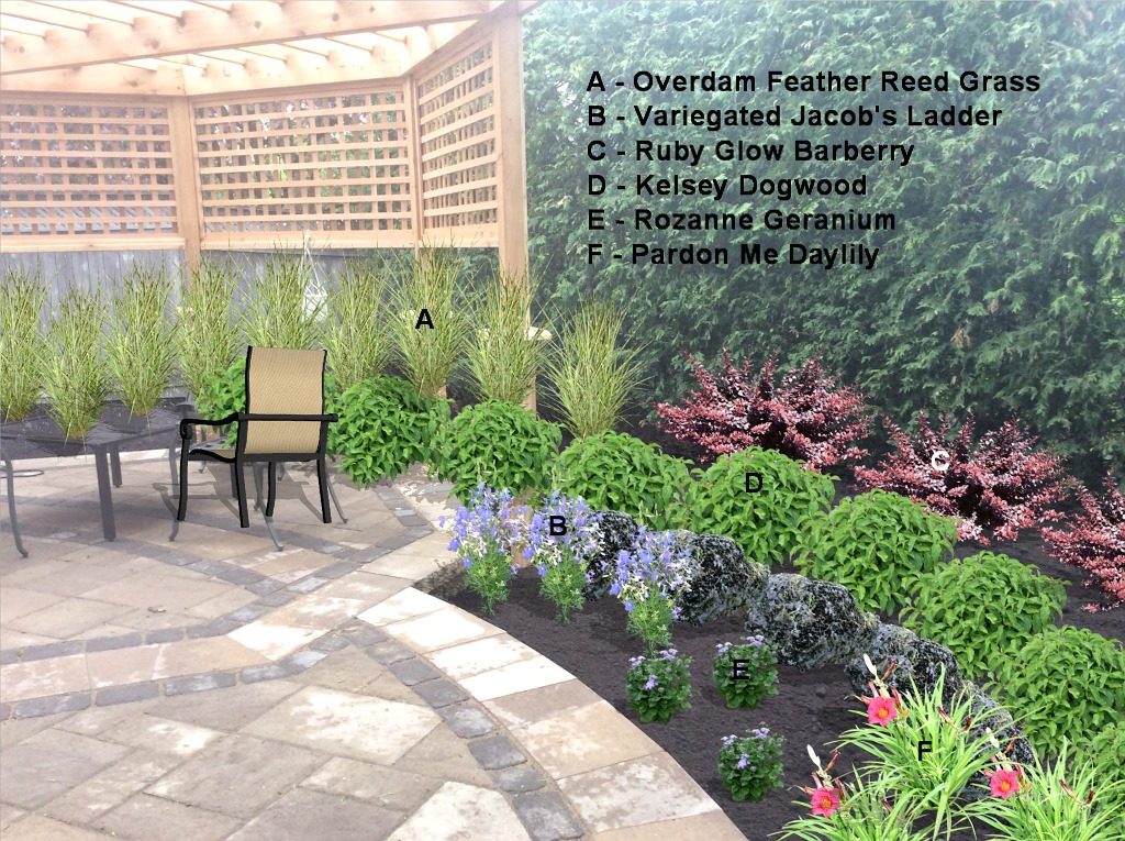 Express Design overlay sample showing labelled plant placements on a client's patio area